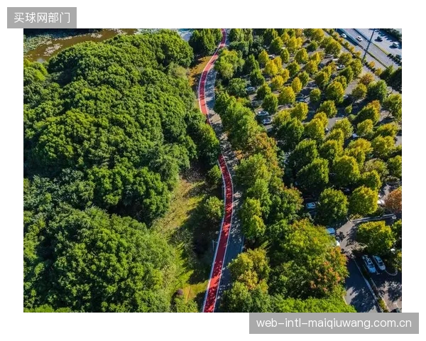 部分体育小镇对“智慧步道”的追捧已偏离轨道，沦为对压电发电等新概念的机械堆砌，忽视了与日常运营的真实联动